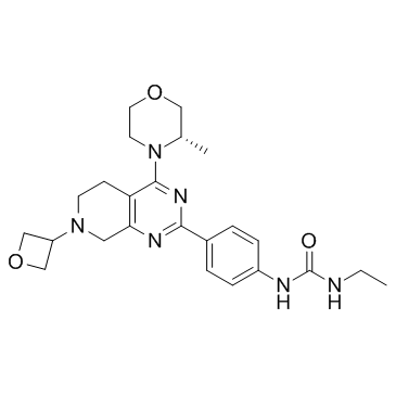 N-ETHYL-N'-[4-[5,6,7,8-四氢-4-[(3S)-3-甲基-4-吗啉基]-7-(3-氧杂环丁基)吡啶并[3,4-D]嘧啶-2-基]苯基]脲结构式