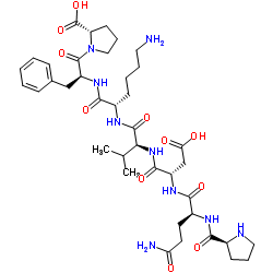 HCV Core Protein (19-25) Structure