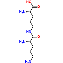 N5-L-Ornithyl-L-ornithine Structure