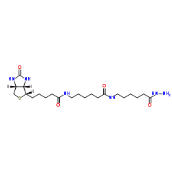 Biotin-XX hydrazide结构式