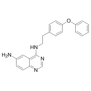 QNZ (EVP4593) structure
