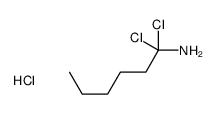 1,1-dichlorohexan-1-amine,hydrochloride Structure