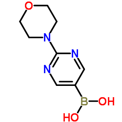 2-吗啉基嘧啶-5-基硼酸结构式
