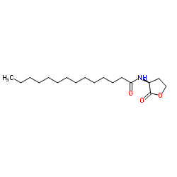 N-[(3S)-2-Oxotetrahydro-3-furanyl]tetradecanamide Structure
