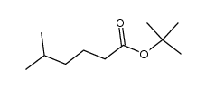 5-methyl-hexanoic acid tert-butyl ester Structure