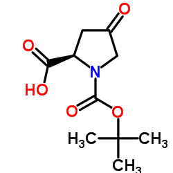 N-Boc-4-Oxo-D-proline structure