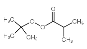 tert-Butyl peroxyisobutyrate Structure