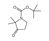 2,2-二甲基-3-氧代吡咯烷-1-羧酸叔丁酯结构式