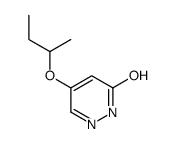 4-butan-2-yloxy-1H-pyridazin-6-one Structure