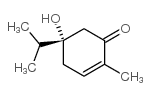 2-Cyclohexen-1-one,5-hydroxy-2-methyl-5-(1-methylethyl)-,(5S)-(9CI)结构式