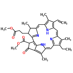 Methyl phaeophorbide structure