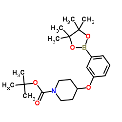 4-(3-(4,4,5,5-四甲基-1,3,2-二氧硼杂环戊烷-2-基)苯氧基)哌啶-1-羧酸叔丁酯结构式