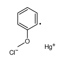 chloro-(2-methoxyphenyl)mercury结构式