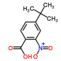 2-硝基-4-叔丁基苯甲酸结构式