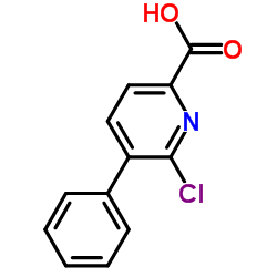 6-氯-5-苯基吡啶甲酸结构式