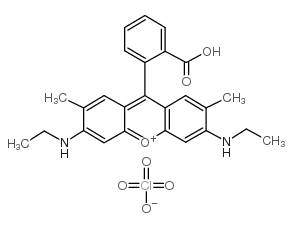 Rhodamine 19 Structure