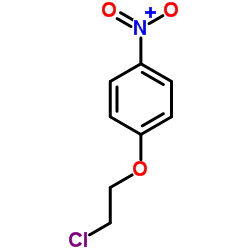 2-氯乙基-4-硝基苯基醚结构式