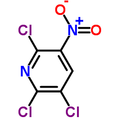 2,3,6-三氯-5-硝基吡啶结构式
