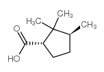 Cyclopentanecarboxylic acid, 2,2,3-trimethyl-, (1S,3S)- (9CI) Structure