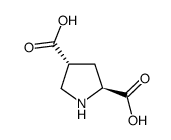 L-反式-吡咯烷-2,4-二羧酸结构式