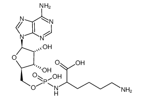 adenylyl-(5'-->Nα)-lysine结构式