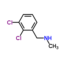 N-(2,3-二氯苄基)甲胺结构式