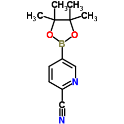 2-Cyanopyridine-5-boronic acid pinacol ester structure