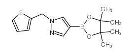 4-(4,4,5,5-四甲基-1,3,2-二氧硼杂环戊烷-2-基)-1-(2-噻吩甲基)-1H-吡唑结构式