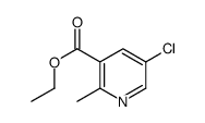 5-氯-2-甲基烟酸乙酯图片