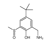 2-(aminomethyl)-4-tert-butyl-6-methylsulfinylphenol结构式