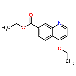 4-乙氧基喹啉-7-羧酸乙酯结构式