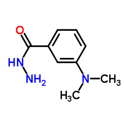 对二甲氨基苯甲酰肼结构式