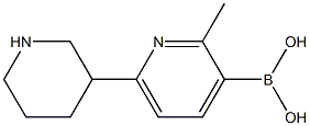 2-Methyl-6-(piperidin-3-yl)pyridine-3-boronic acid Structure