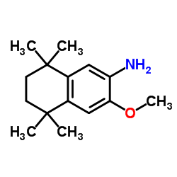 3-Methoxy-5,5,8,8-tetramethyl-5,6,7,8-tetrahydronaphthalen-2-amine Structure