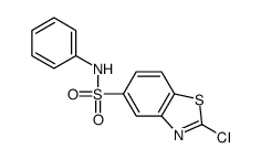 2-chloro-N-phenyl-1,3-benzothiazole-5-sulfonamide结构式
