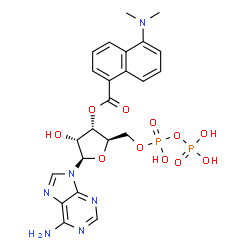 (5-(dimethylamino-1-naphthoyl))adenosine diphosphate结构式