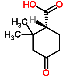 (1R)-2,2-Dimethyl-4-oxocyclohexanecarboxylic acid Structure