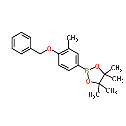 4-苄氧基-3-甲基苯硼酸频呢醇酯结构式