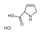 3,4-脱氢-L-脯氨酸盐酸盐图片