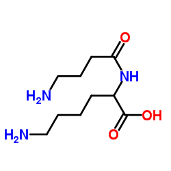 gamma-Aminobutyryl-lysine Structure