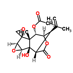 2-邻乙酰基羟基马桑毒素结构式