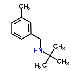N-(tert-butyl)-N-(3-methylbenzyl)amine结构式