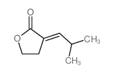 (3E)-3-(2-methylpropylidene)oxolan-2-one结构式