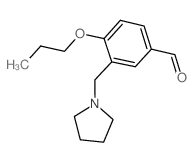 4-丙氧基-3-吡咯烷-1-甲基-苯甲醛结构式