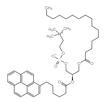 1-hexadecanoyl-2-(1-pyrenehexanoyl)-sn-glycero-3-phosphocholine Structure