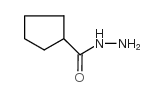环戊碳酰肼结构式