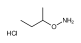 O-butan-2-ylhydroxylamine,hydrochloride Structure