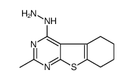 4-HYDRAZINO-2-METHYL-5,6,7,8-TETRAHYDRO[1]BENZOTHIENO[2,3-D]PYRIMIDINE Structure