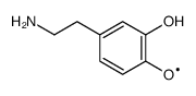 dopamine semiquinone anion radical Structure