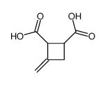 3-methylidenecyclobutane-1,2-dicarboxylic acid Structure